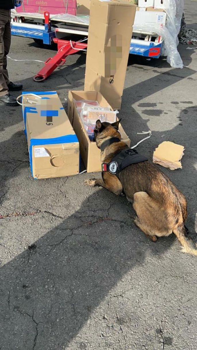 Decomisan en el Aeropuerto de la CDMX más de 100 kilogramos de cocaína procedente de Colomibia