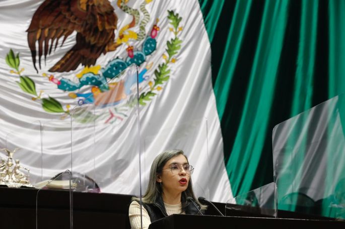 Aprueban reformas para la creación y operación de los Centros de Justicia para las Mujeres
