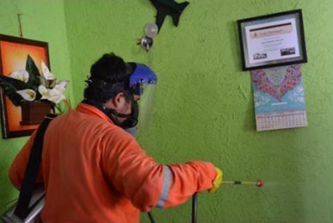 UADY desarrolla método innovador contra mosquito  transmisor de las enfermedades dengue, chikungunya y Zika