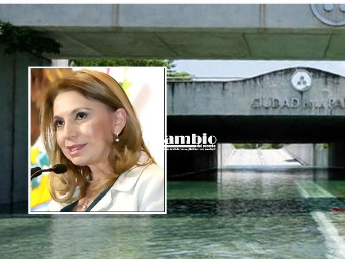 "Que Angélica Araujo pague por los daños al Paseo de Montejo", dicen vecinos