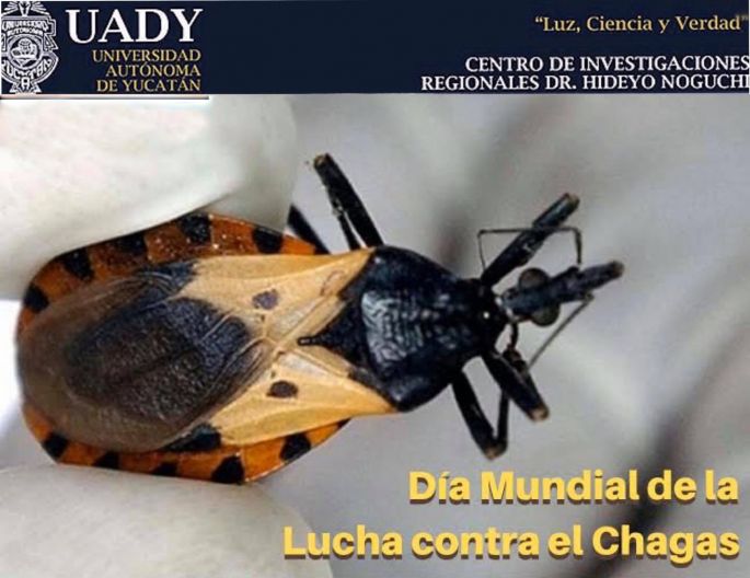 Potencial riesgo de muerte por mal de Chagas