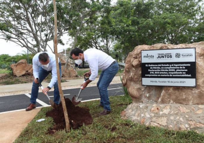 Superan la meta establecida de arborización al plantar 216,603 árboles dentro de la Declaración por Mérida 2050