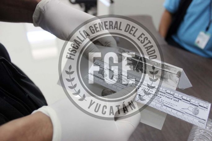 Imputado por abuso sexual ocurrido en Umán