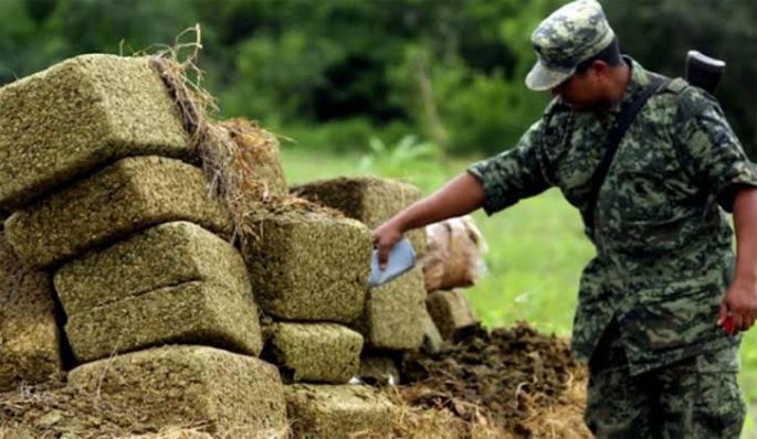 En 2020 se aseguró tonelada y media de mariguana en Yucatán