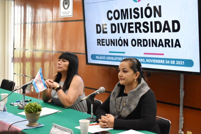 Piden incluir la orientación sexual y/o género autopercibido en credencial para votar