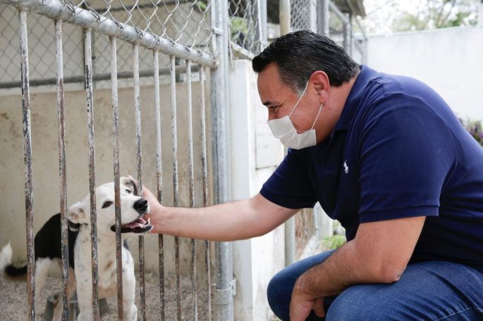 El Ayuntamiento de Mérida y la sociedad civil aliados del bienestar animal
