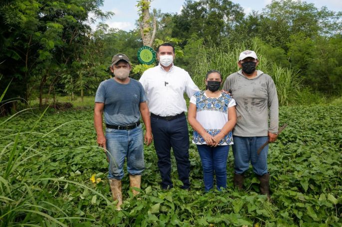 Mérida se sumará a la comunidad internacional para seguir cuidando y combatiendo el cambio climático
