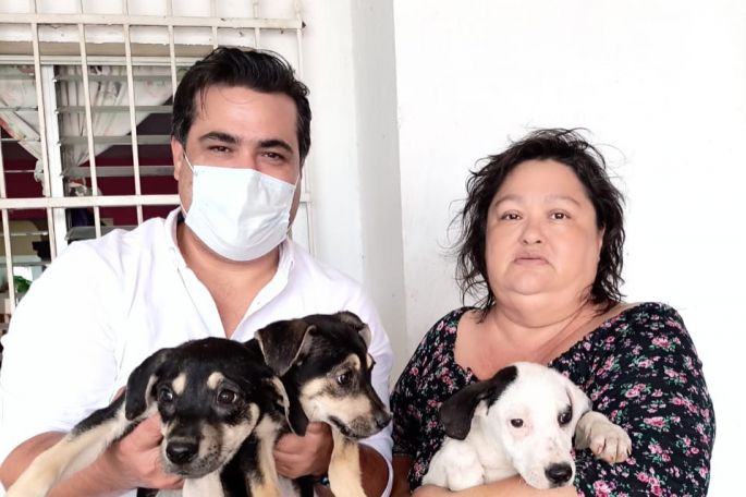 Rescata Cultur a otros tres “perritos sagrados” de Kukulkán y los ofrece en adopción