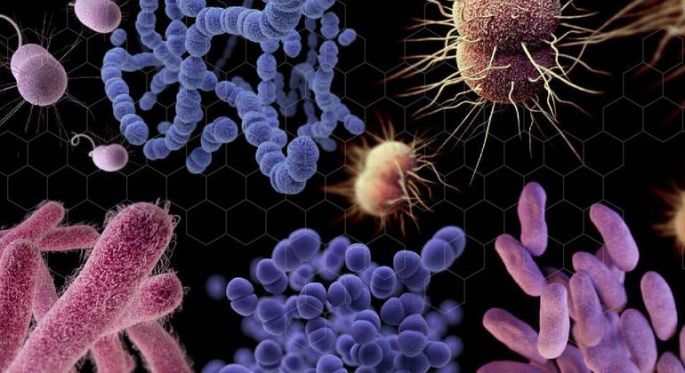 La OMS alerta de que el desarrollo de nuevos antibióticos está “estancado”