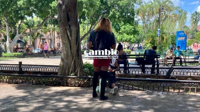 Causa extrañeza una joven que pedía donativos para un albergue de drogadictos