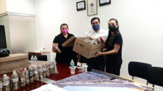 Entrega Cultur 18,025 colillas a artista para convertirlas en dos obras de arte