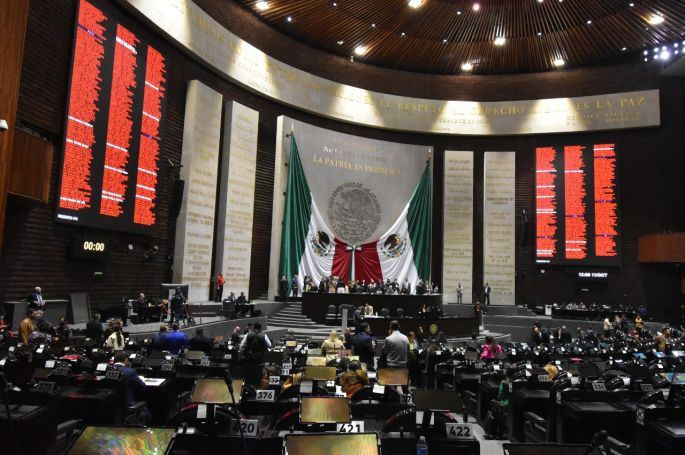 La Cámara de Diputados avaló reformas que prohíben uso de animales marinos en espectáculos