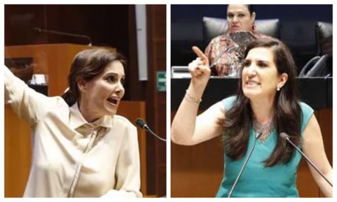 Cámara de Senadores: ¿Parlamento voz del tiempo o rebuzno de jumentos?