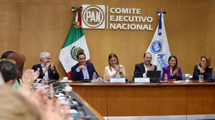 Vila convoca al PAN nacional a cerrar filas y trabajar en unidad