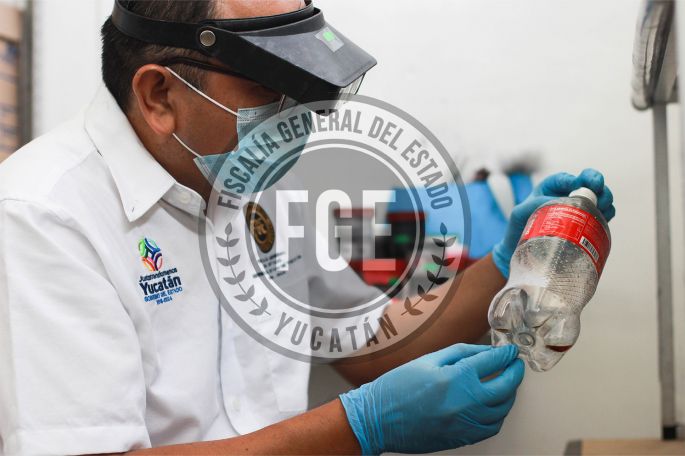 Formulan cargos por robo de un cerdo