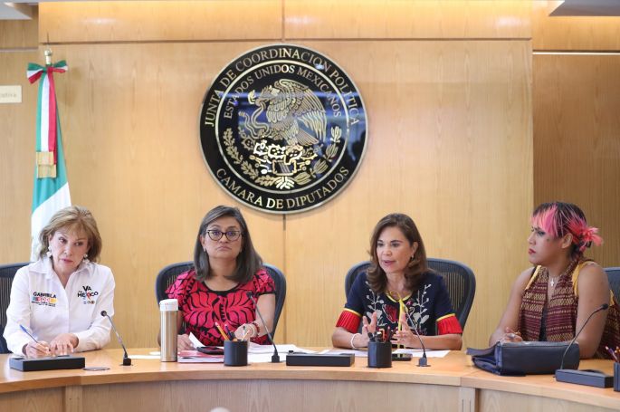 “Que ningún violentador pueda acceder al poder