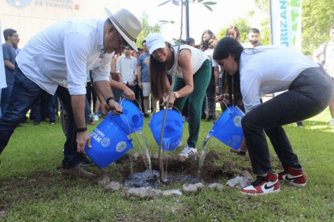 Con el programa “Arborizando Yucatán” se han distribuido y plantado más de 900 mil árboles en 97 municipios