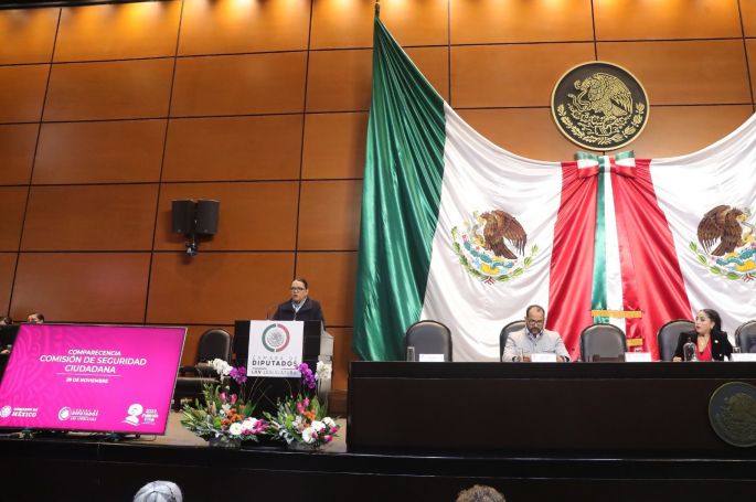 Comparece ante Comisión de la Cámara de Diputados la secretaria de Seguridad y Protección Ciudadana