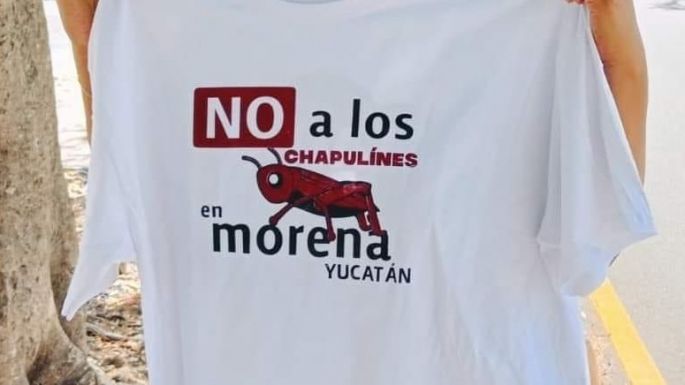 Los "chapulines" causan división en Morena en Muna