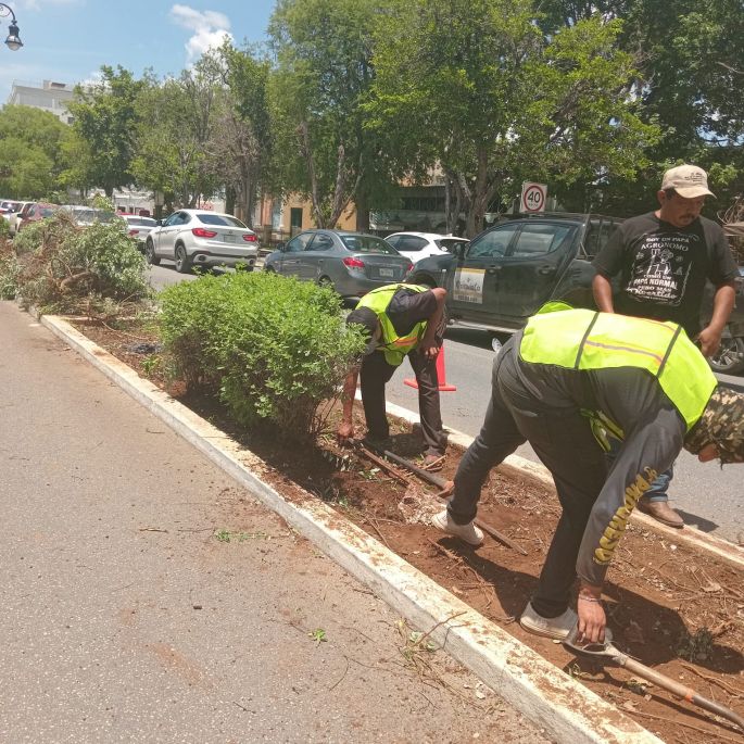 Modernizan el sistema de riego en Paseo de Montejo