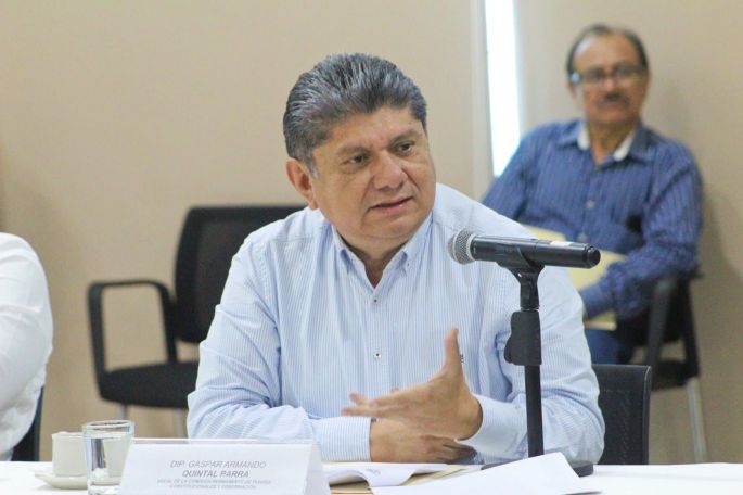 El PRI impulsa iniciativa eliminar el IVA al alimento de las mascotas 