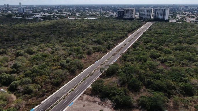 Cecilia Patrón entrega nueva avenida en Sodzil Norte