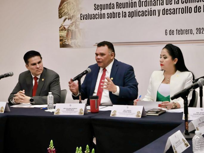 Anuncia comisión del Senado conversatorio sobre Inteligencia Artificial aplicada a la seguridad pública