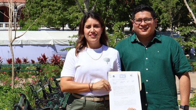 Propone Movimiento Ciudadano en el Cabildo de Mérida proteger el arbolado de la ciudad