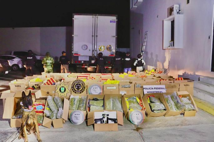 Fuerzas estatales y federales aseguran Torton cargado de cannabis y tres armas de fuego; el chofer, detenido