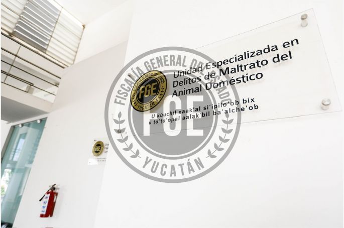 A prisión por crueldad animal