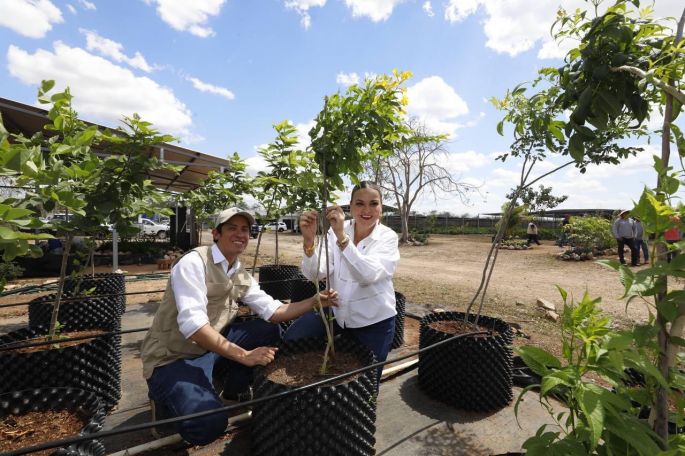 Desde vivero de Cuxtal reafirma Cecilia Patrón su compromiso por una Mérida verde y ordenada