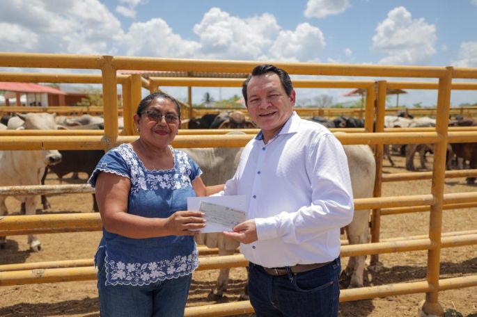 Impulsa Gobernador Joaquín Díaz Mena el renacer de la ganadería yucateca  