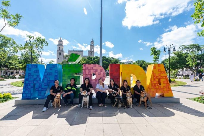 Presenta Cecilia Patrón “De la calle al corazón”