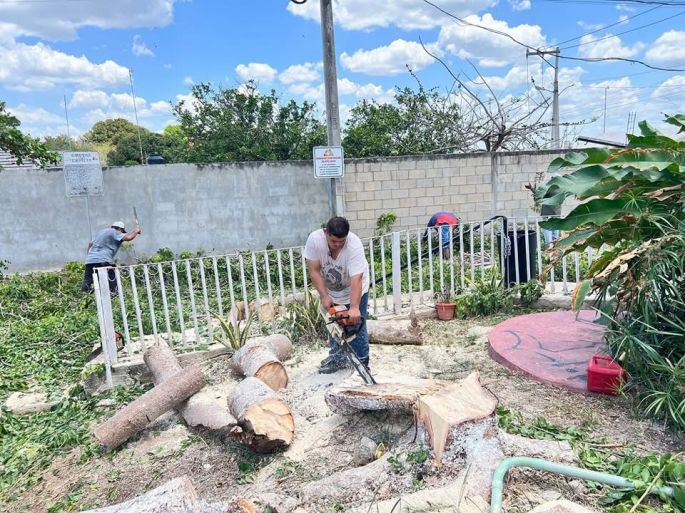 El Ayuntamiento de Oxkutzcab atiende una solicitud vecinal de retirar un árbol caído 