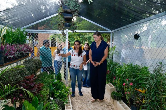 La Reserva Ecológica Cuxtal promoverá la cultura ambiental en la Hacienda Anicabil