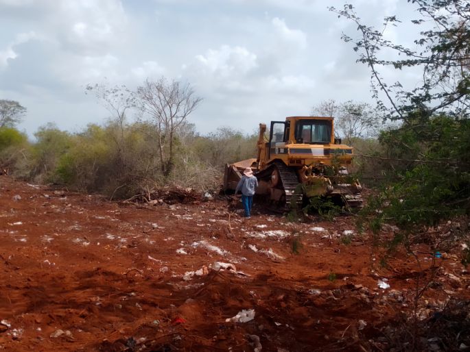 Profepa clausura predio por cambio de uso de suelo en la ANP Reserva Cuxtal, en Mérida