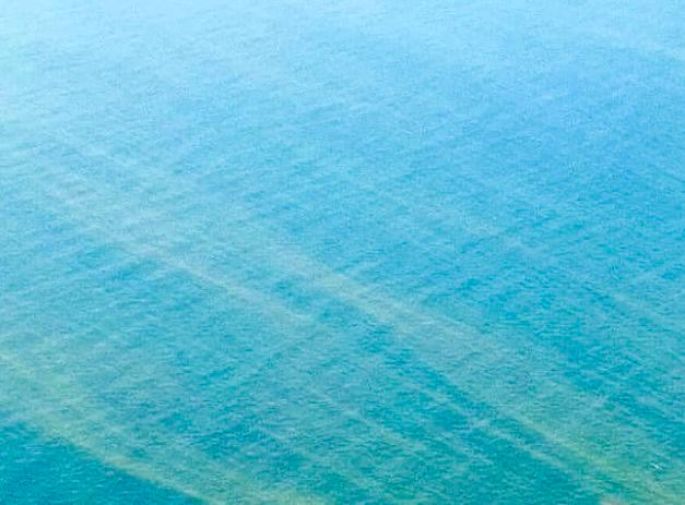 Manchones de “marea roja” en aguas yucatecas no son tóxicos 