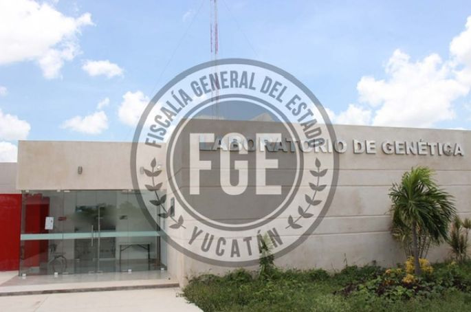 Imputado por daño en propiedad ajena al lanzar un celular  