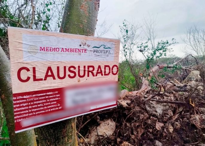 Clausura Profepa predio por cambio ilegal de uso de suelo en la Reserva Cuxtal, en Yucatán