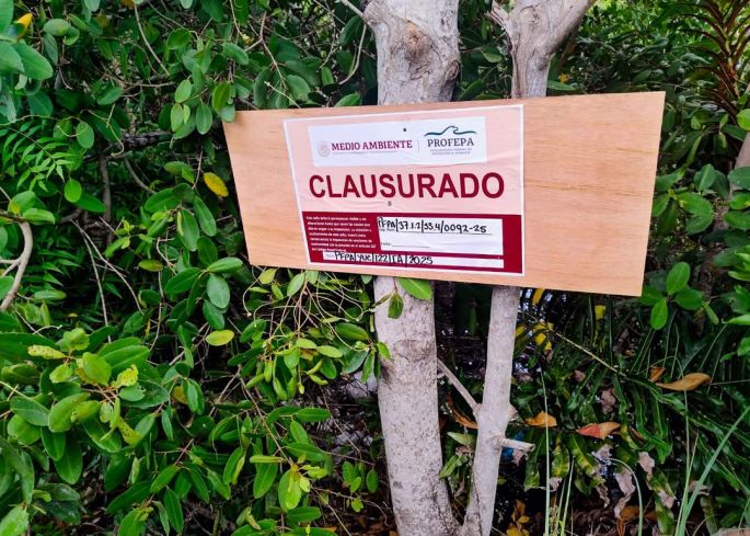 Clausuran construcción en el Área Natural Protegida Reserva Estatal de San Felipe, Yucatán