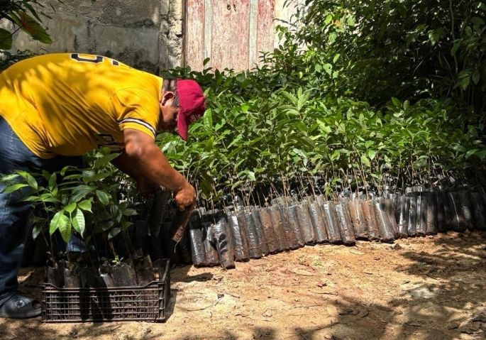 Renacimiento Verde avanza en el oriente yucateco