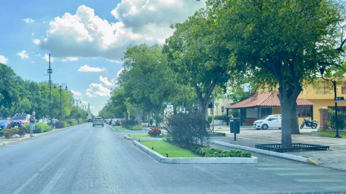 Hoteleros piden retirar los arriates de Paseo Montejo para agilizar el tránsito