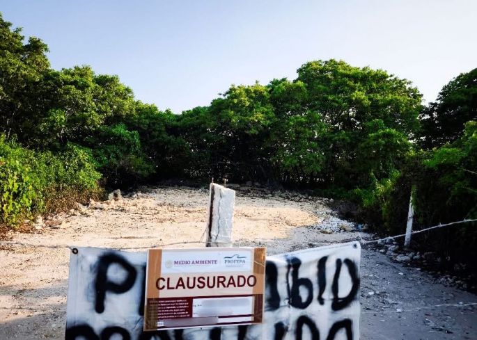 Clausuran dos predios en Chicxulub Puerto por relleno de manglares
