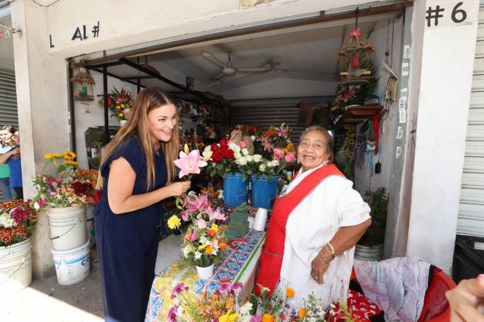Cada vez más espacios públicos con Internet gratuito en Mérida: Cecilia Patrón