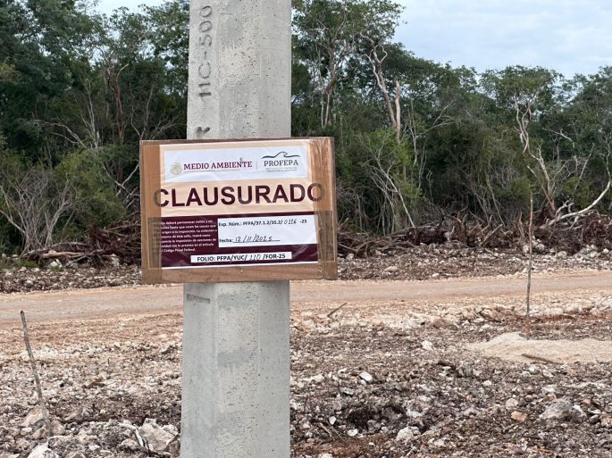 Crío mantiene obras en Tzemé pese a clausuras; comunidad maya acusa omisión del INAH y Profepa
