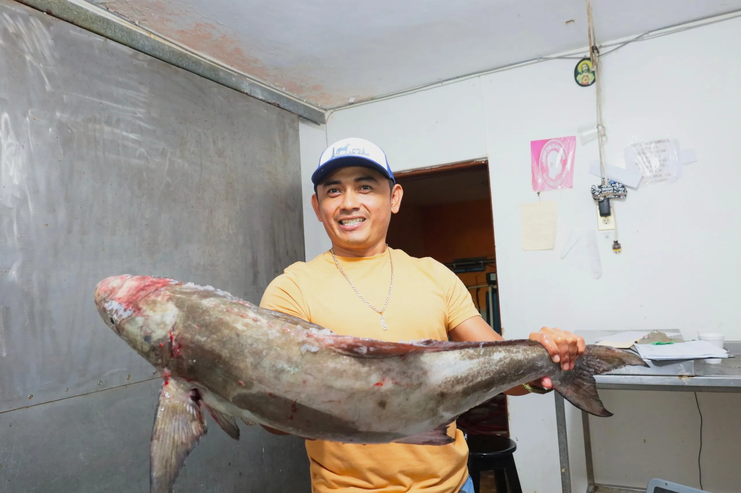 Concluye la pesca del mero e inicia la veda 2026 en Yucatán