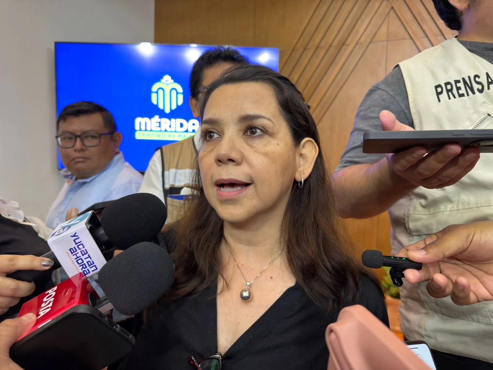 Presentan 50 denuncias por desmonte ilegal en la Reserva Cuxtal