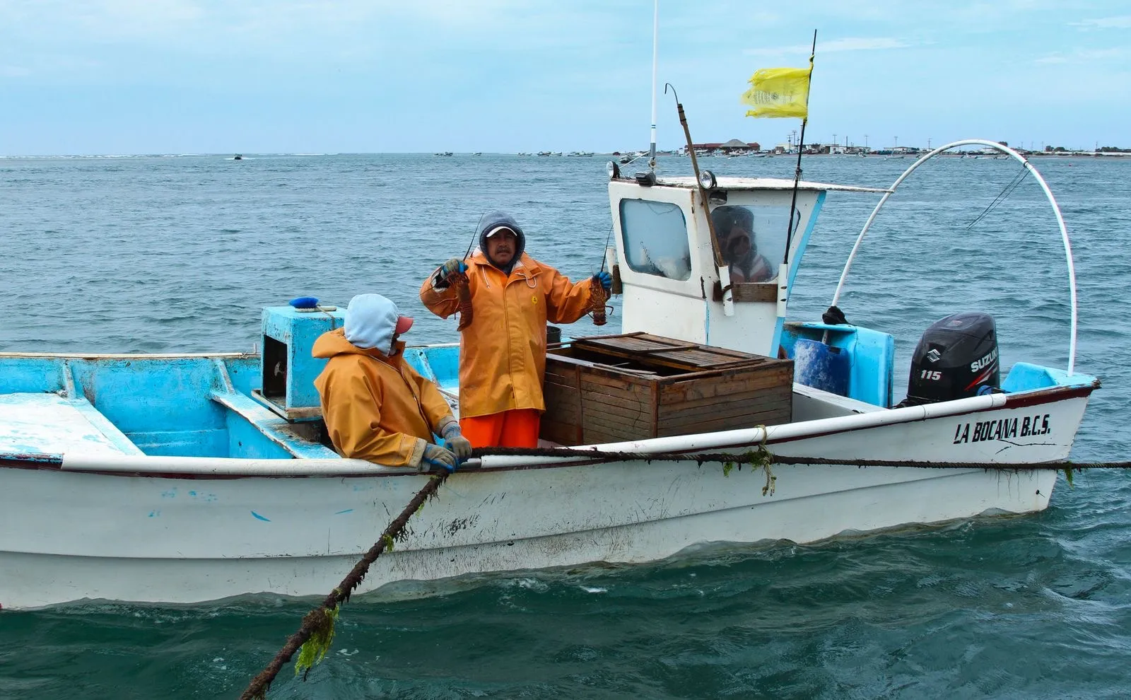 Cuatro meses sin captura de langosta: entra en vigor la veda en Yucatán