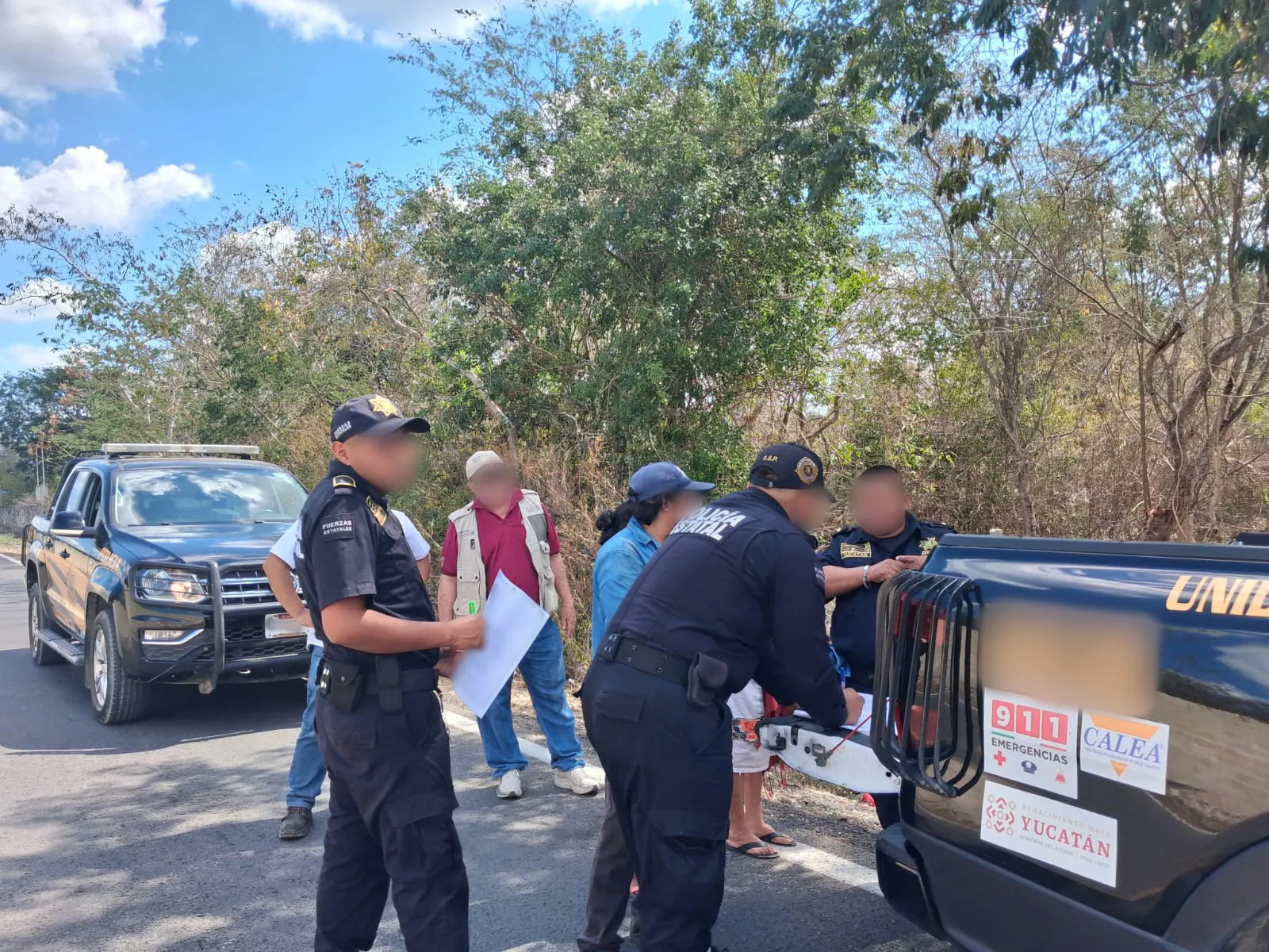 Clausuran desmontes y aseguran carbón ilegal en la Reserva Cuxtal