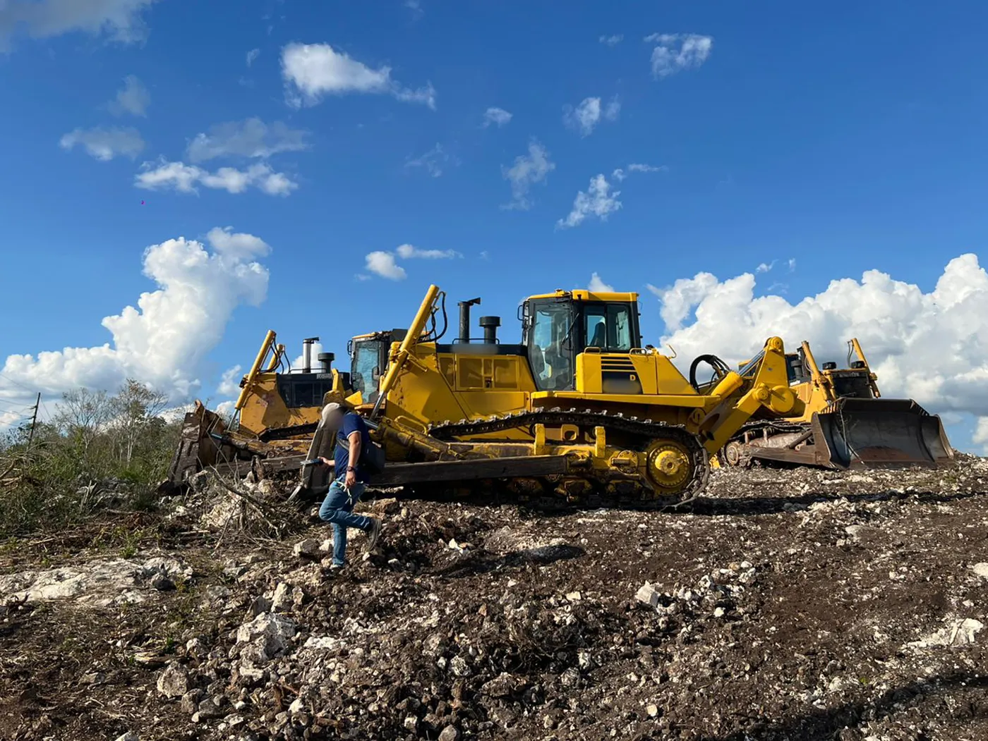 Clausura Profepa predio por desmonte ilegal de vegetación, en Tekax, Yucatán